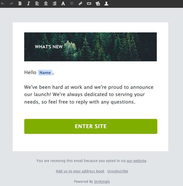 Strikingly edit newsletter page Strikingly edit newsletter page